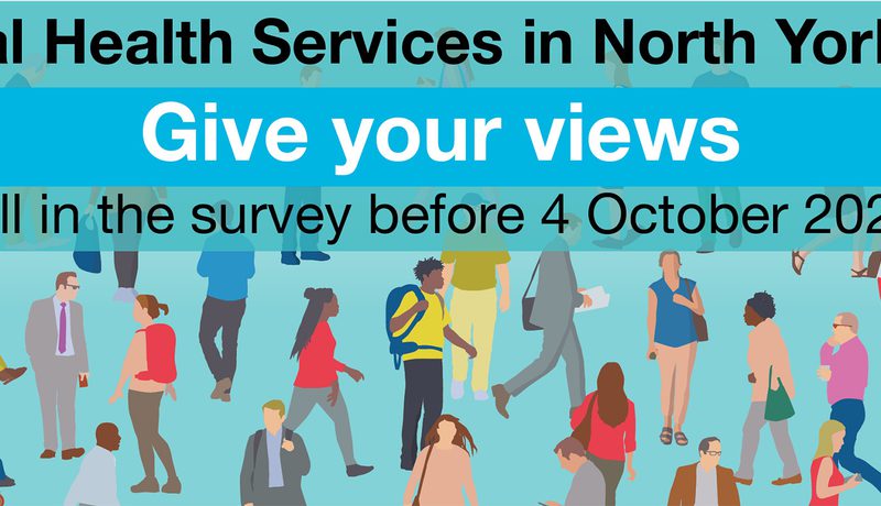 "Sexual Health Services in North Yorkshire - Give your views" survey banner with an illustrated crowd of diverse people.